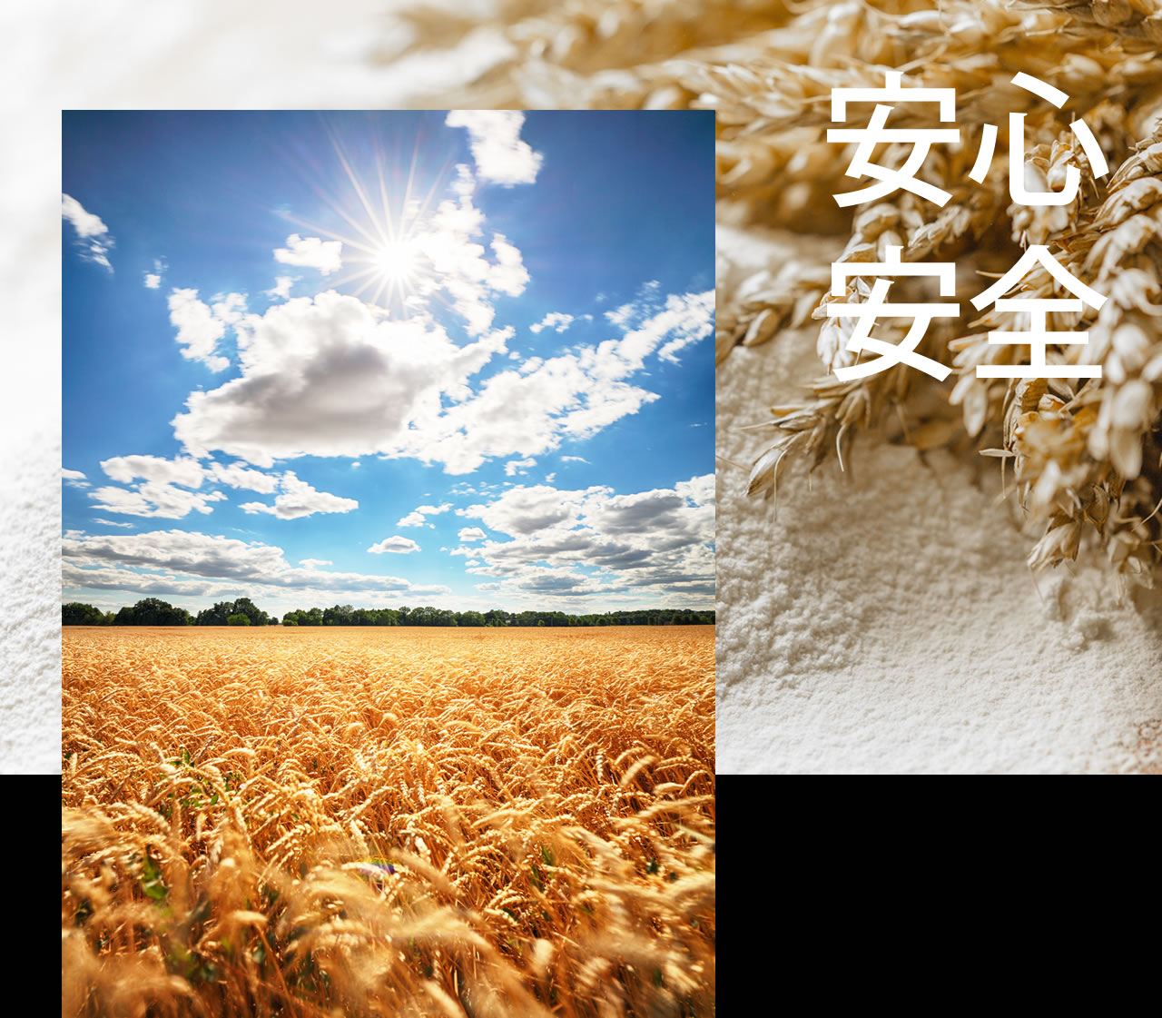 北海道十勝産小麦100％の安心安全なクレープ